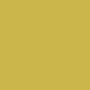 Colonial Yellow Swatch