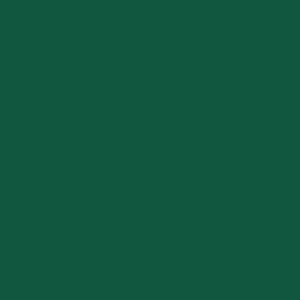 W&M Green Swatch